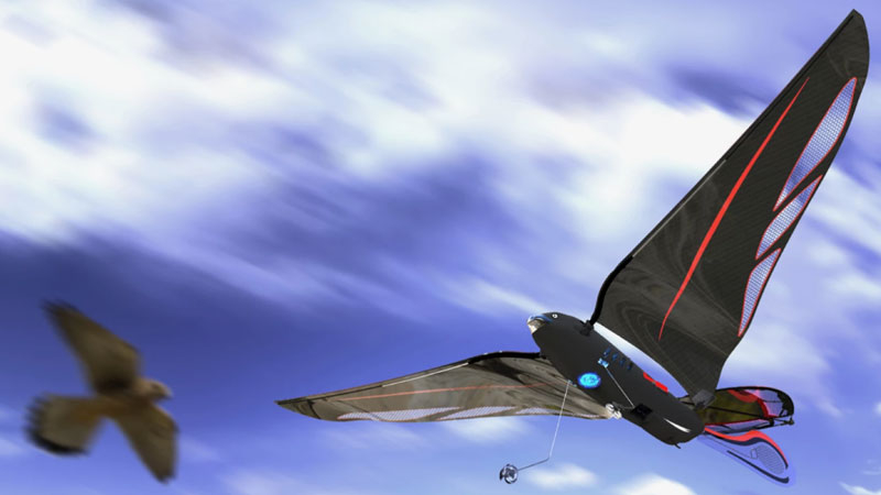 Mühendis, akıllı telefonla kontrol edilen ve saat başına 31 km hıza kadar dönebilen 10 gramlık robotik kuş üretmiştir