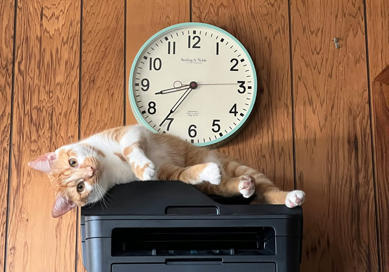 Windows 11, eski V3 ve V4 yazıcı sürücülerini desteklemeyi sonlandıracak ve ardından güncelleme yapılacaktır