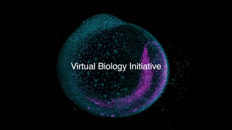 Mark Zuckerberg’ın Biohub’u, tüm hastalıkların tedavisini hızlandırmak için hücre tabanlı yapay zeka modelleri kullanıyor