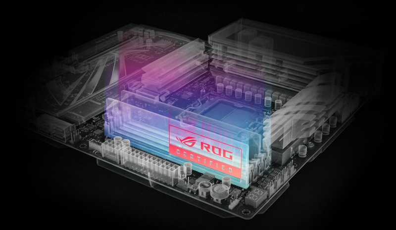 Asus, 17 DDR5 modülünün ROG anakartlarla uyumlu olduğunu doğruladı.