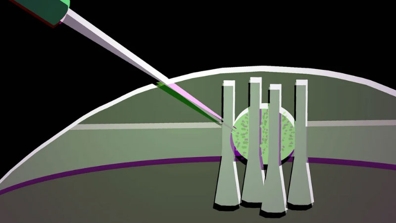 Bilim insanları bir sıvı kristal damlasından esnek optik transistör yaptı, geleceğin fotonik çipleri için.