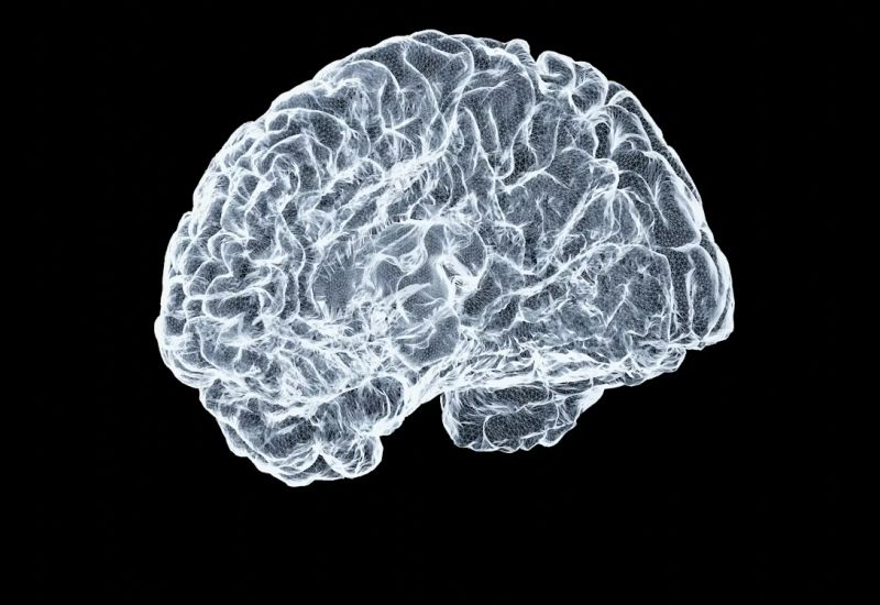 Çin beyin implantları, Amerikan Neuralink'ten yaklaşık üç yıl geride kalıyor